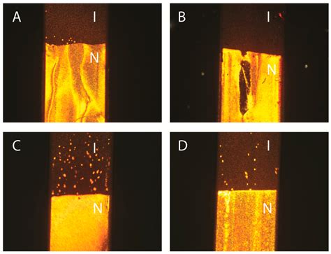 Materials Free Full Text Dispersions Of Goethite Nanorods In