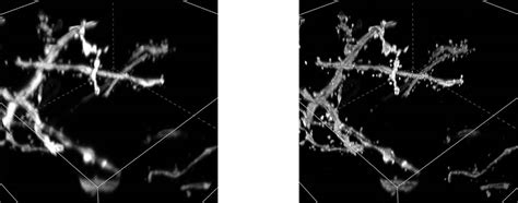 Nikon Introduces All New Spatial Array Confocal Nsparc Detector For