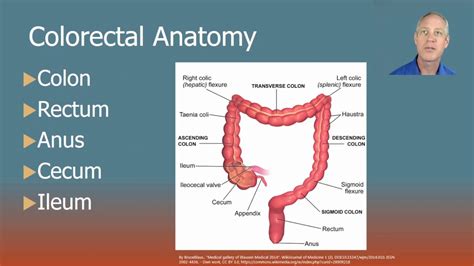 2018 Colorectal Surgery Cpt Coding Youtube