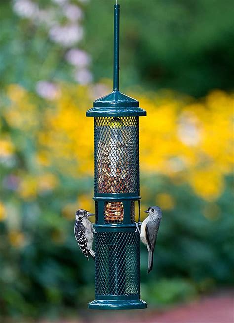 What Are The Different Types Of Bird Feeders Bird Watch Hq