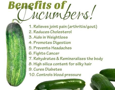 Japanese Cucumber Health Benefits At Melody Delgado Blog