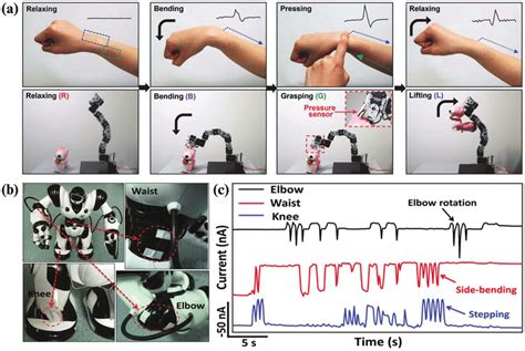 A The Transparent Motion Sensor And The Electrotactile Stimulator