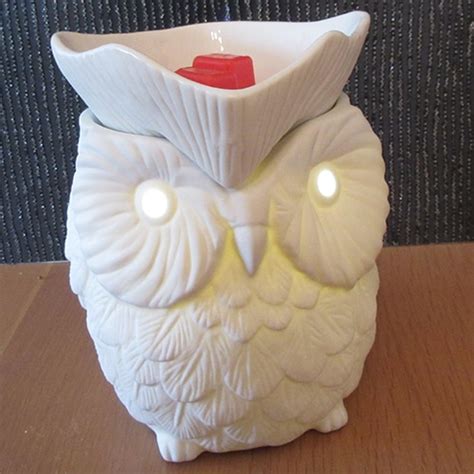 Whoot Owl Scentsy Warmer The Candle Boutique Scentsy Uk Consultant