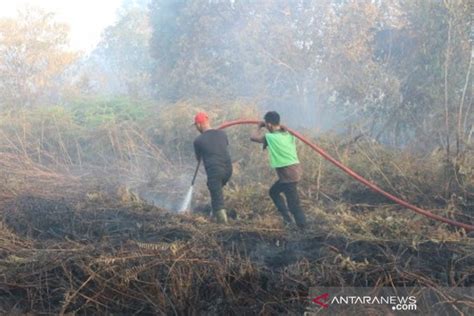 Karhutla Di Aceh Barat Kini Dekati Pemukiman Warga ANTARA News Aceh