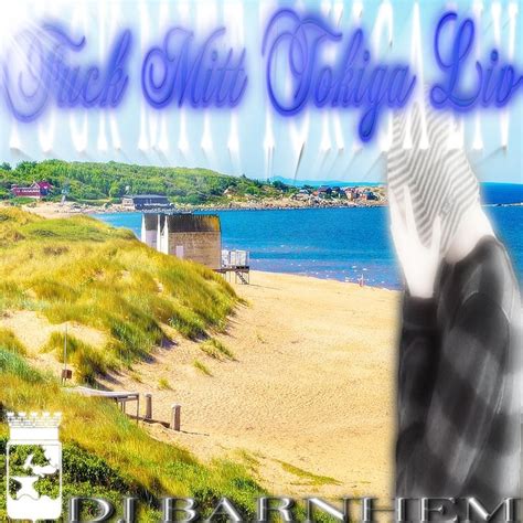 Stream FUCK MITT TOKIGA LIV SOMMARMIXXXTAPE2024 By Dj Barnhem
