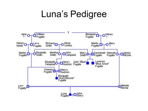 Luna Fugate