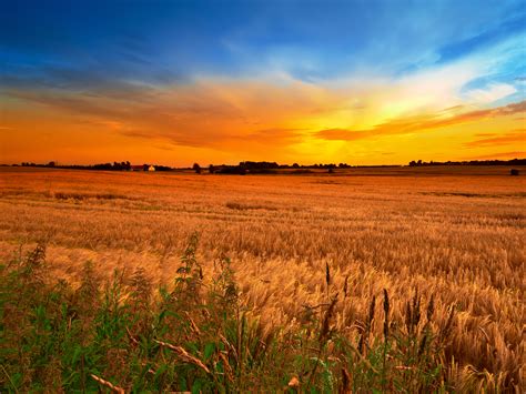 Country Autumn Wallpapers Wallpaper Cave