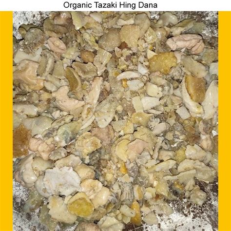 Organic Tazaki Hing Dana At Rs 27000 Kg Hing In Hathras ID 21409076012