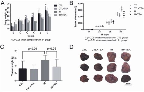 Figure From Sodium Tanshinone Iia Sulfonate Attenuates Tumor