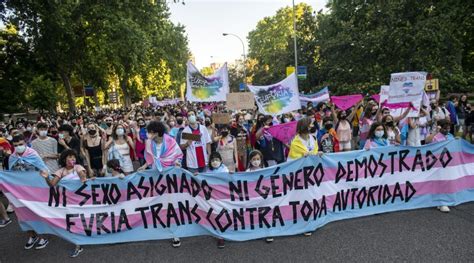 Euforia Opina Sobre La Nueva Ley Trans Euforia