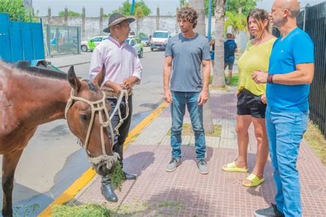 San Fernando avanza en la prohibición de la tracción a sangre en todo