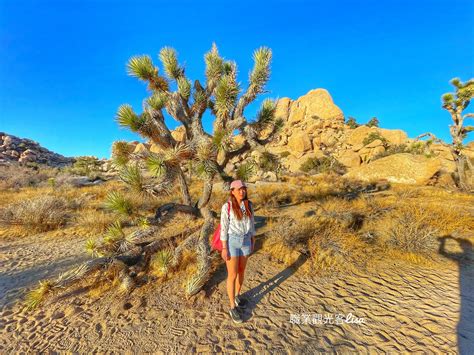 Joshua Tree National Park Lisa