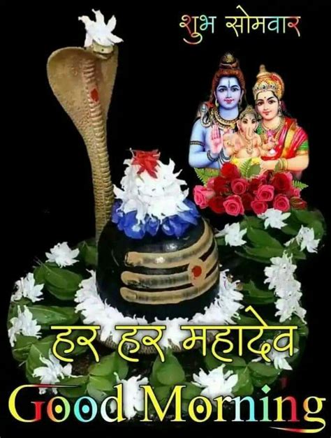 🌻💐शुभ सोमवार 🍁💐 🌹🔱ॐ नमः शिवाय🔱🌹 ️🥀🌅सुप्रभात वंदन मित्रों ♥️🍁 🙏‼️ हर हर