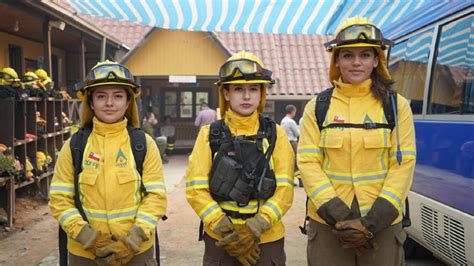 Incendios Forestales El Despliegue De Brigadas Femeninas En El Combate