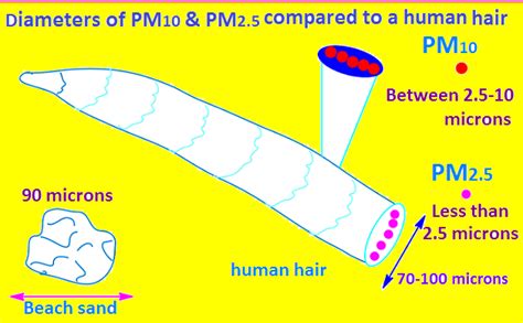 What Are Different Types Of Particulates Matter In Environment