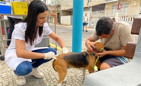 São João da Barra abre agendamento para vacinação antirrábica em