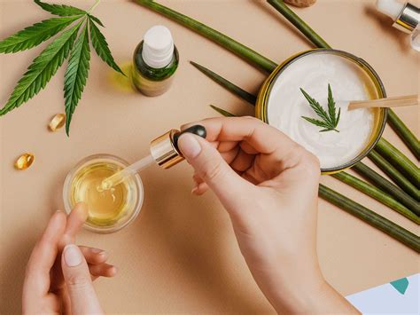 The Official Cbd Blog The Cbd World Explained