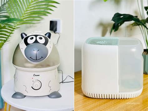 Filterless Humidifier Vs Filtered Humidifier Which One Is Better For You Air Smartly