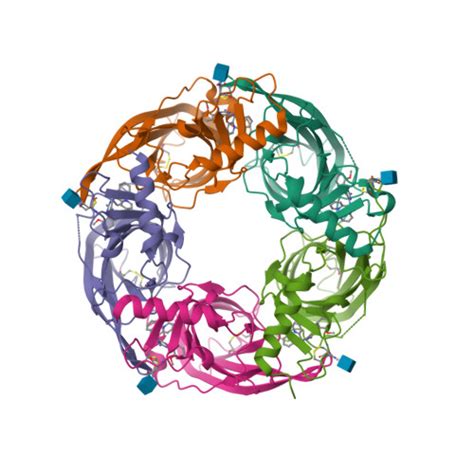 RCSB PDB 5J5H X RAY STRUCTURE OF ACETYLCHOLINE BINDING PROTEIN