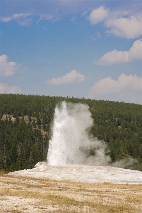 Old Faithful Geyser In Old Faithful Basin In Yellowstone National Park ...