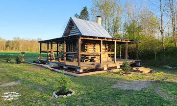 Planting Spruce Trees At Our Tiny Off Grid Cabin Roberts Bushcraft