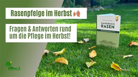 Rasenpflege im Herbst Fragen Antworten zum nachsäen düngen