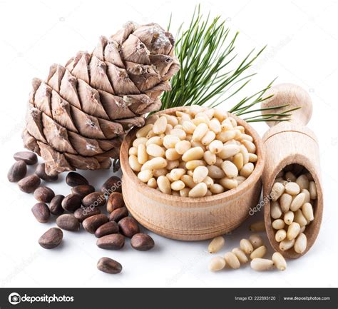 Pics Pine Nuts Pine Nut Cone Pine Nuts White Background Organic Food