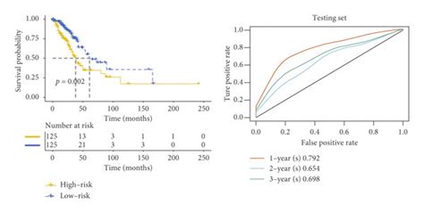 Survival Curve Analysis And ROC Analysis Of The Nine Gene Signature