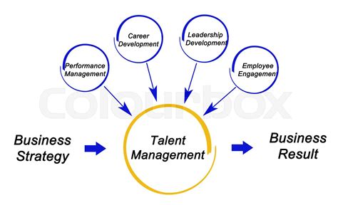 Components Of Talent Management Strategy