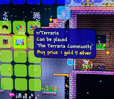 We got a painting! : r/Terraria