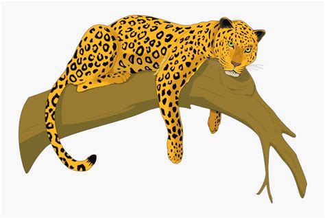 Amur Leopard Clip Art , Free Transparent Clipart - ClipartKey