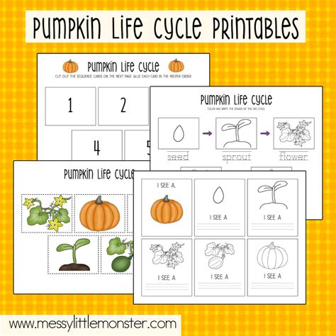 Free Pumpkin Life Cycle Worksheets