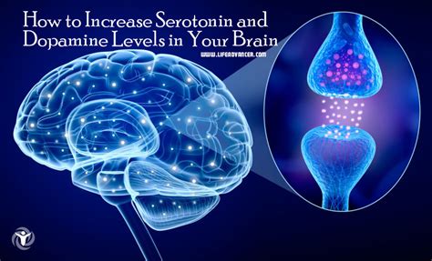 How to Increase Serotonin and Dopamine Levels in Your Brain