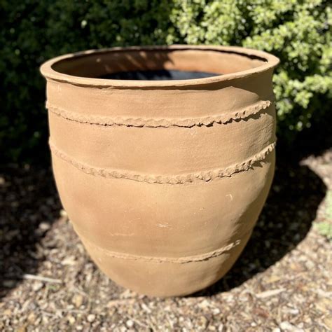 Buy Mediterranean Pots Architectural Plants