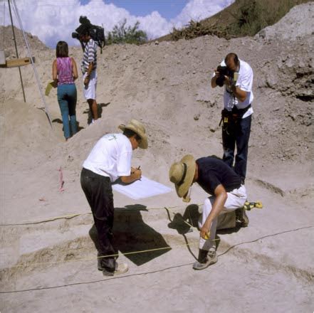 Conociendo La Carrera De Arqueolog A Qu Carrera Estudiar