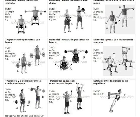 Tabla De Ejercicios Con Mancuernas Para Principiantes Abdominales Info