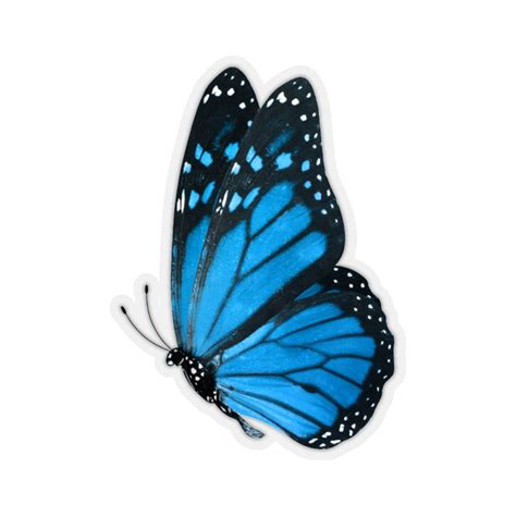 Blue Monarch Butterfly Clipart