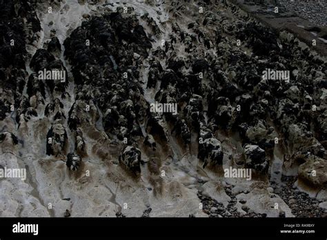Saltdean Beach East Sussex Stock Photo - Alamy