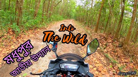 Madhupur National Park Tangail মধুপুর জাতীয় উদ্যান টাংগাইল Travel