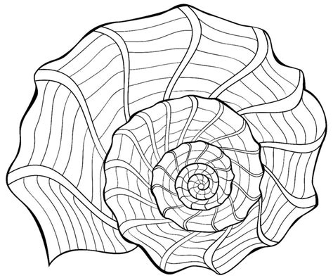 Shell Coloring Pages Free Printable Coloring Pages