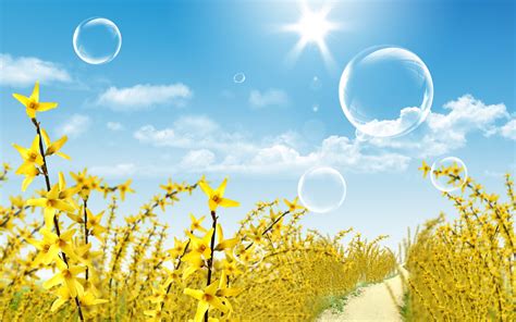 Sun Glow - Wallpaper, High Definition, High Quality, Widescreen