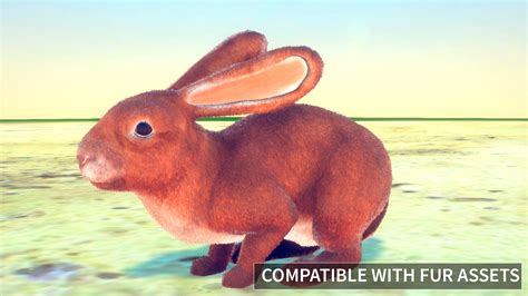 3D Model Realistic Rabbits VR AR Low Poly Rigged Animated CGTrader