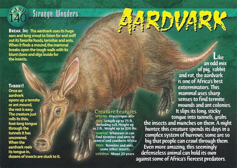 Aardvark | Wierd N'wild Creatures Wiki | FANDOM powered by Wikia