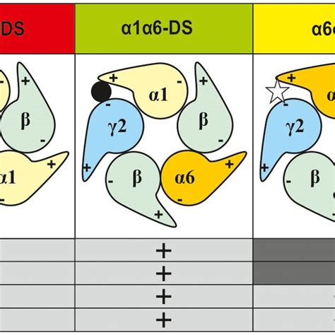 Representation Of The Possible Subtype Combinations Of Containing