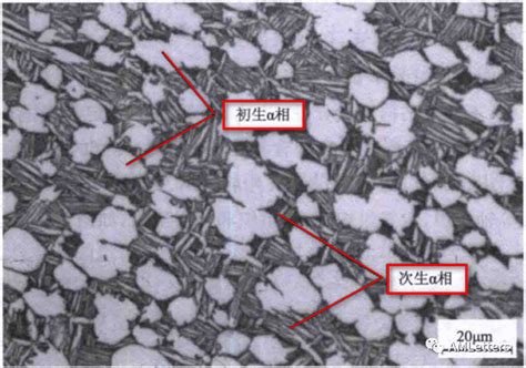 增材制造：钛合金的组织演化规律浅析形态混合物晶粒