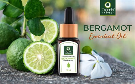 Organic Harvest Bergamot Essential Oil Skin Care Essential Oils