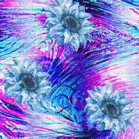 Ma BG Anim Graphic Flower Blue Idca Ma Bg Anim Graphic