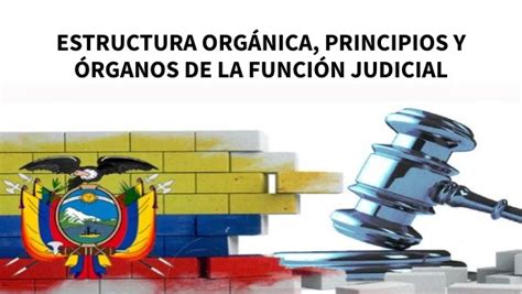 Estructura orgánica principios y órganos de la Función Judicial