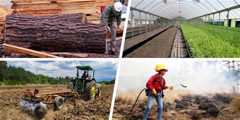 Conservación Forestal Probosque