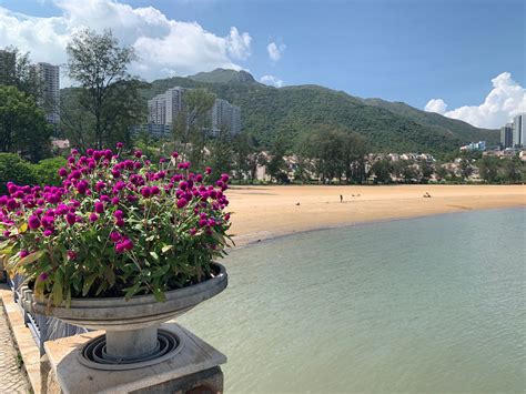 Tai Pak Beach Discovery Bay Hong Kong All You Need To Know Before